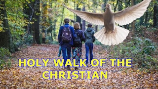 HLN We walk by the spirit