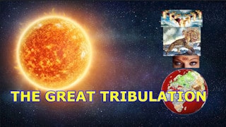 Lords Guidance; Kidzworld Great Tribulation?