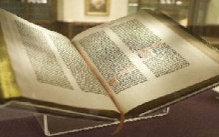 Daily Bible text